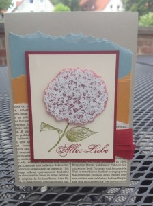 Hortensie - weil ich dich so gern habe (2)