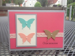 InColor Schmetterlinge (5)