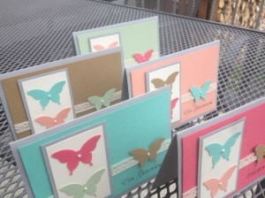 InColor Schmetterlinge (7)