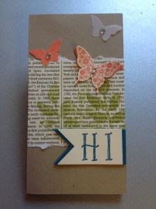 Kellnerblock mit Schmetterlingen (1)