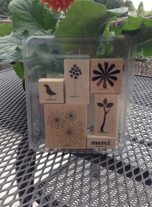 Solitude printanière